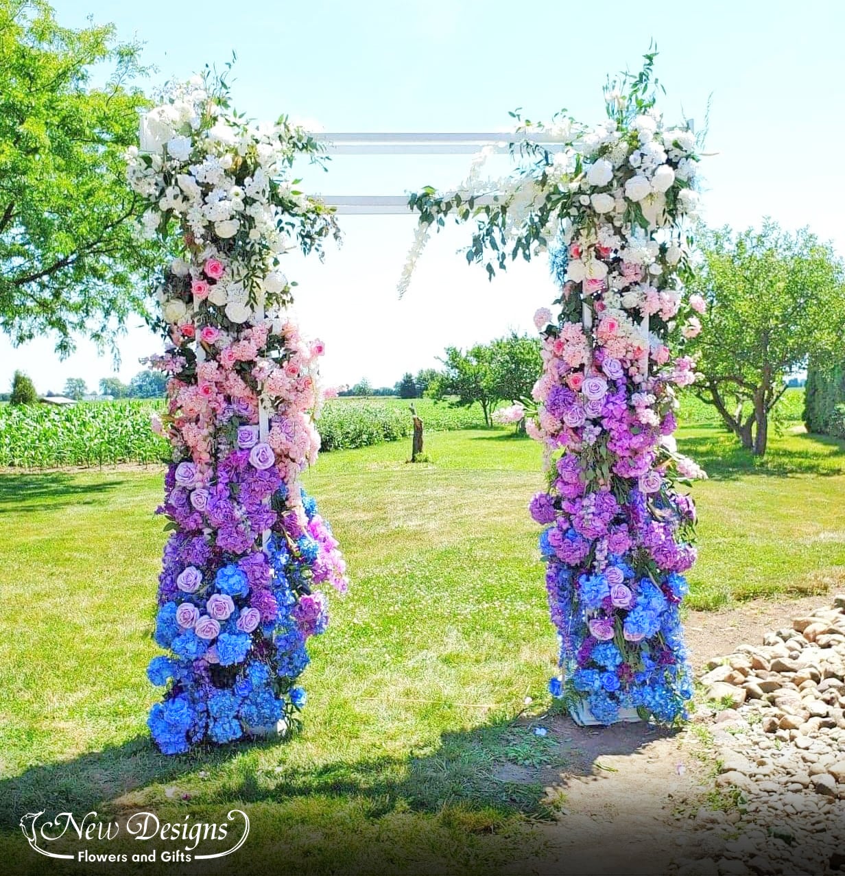 A tall white square arch made up of 3 4 posted wooden pillars, stands over 8 ft, with Bushes of Hydrangeas and Roses explode between the side posts and slightly through the top post, in ombre colours blending seamlessly from blue to purple to pink.